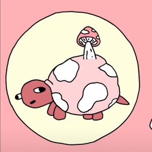 Meet your Posher, Holly